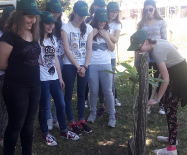 Grad Buzet - U parku osmaša dva nova stabla