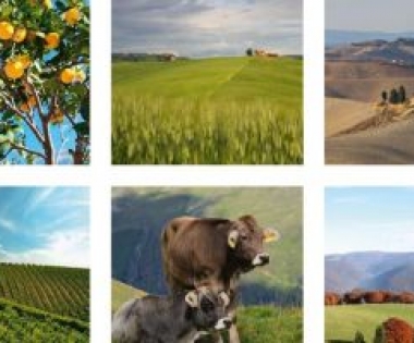 Grad Buzet - Informativna kampanja o IAKS mjerama ruralnog razvoja