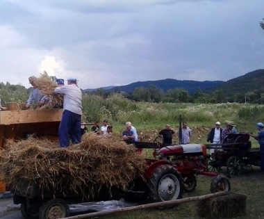 Grad Buzet - Na Mlinifestu vršili žito kao prije pola stoljeća