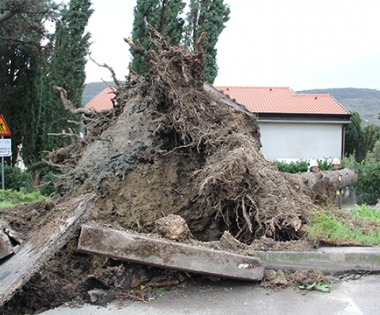 Grad Buzet - Olujni udari vjetra na Buzeštini ruše stabla i čupaju crijepove