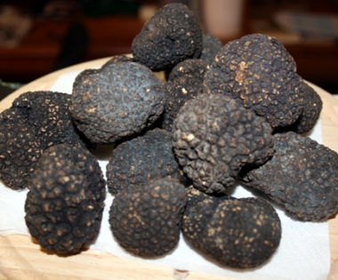 Grad Buzet - Na Fešti Sv. Ane 45 kilograma crnog tartufa!