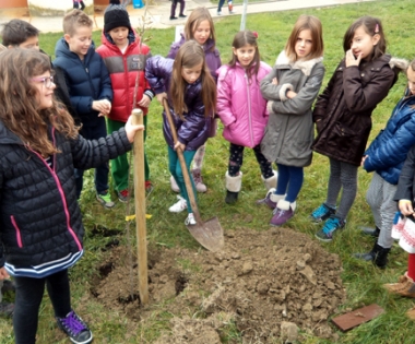 Grad Buzet - Jabuka za zdravstveno-preventivnu edukaciju