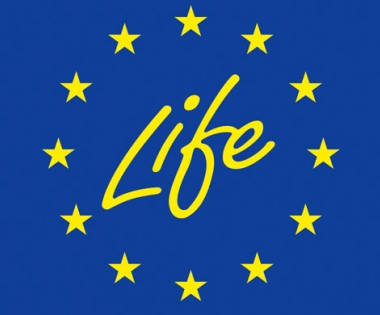 Grad Buzet - Poziv na predstavljanje i sudjelovanje - Life SEC Adapt