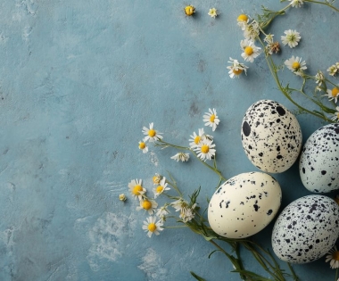 Grad Buzet - Dodjela jednokratnih naknada povodom blagdana Uskrsa