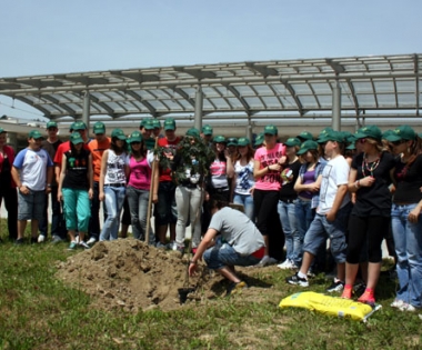 Grad Buzet - Park osmaša bogatiji za dva stabla