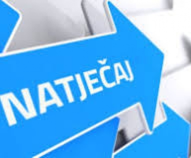 Grad Buzet - ONLINE radionice -  LAG natječaj, mjera 4.1.1