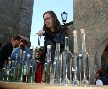 Grad Buzet - Pri kraju prijave za edukaciju proizvođača rakija