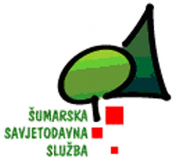 Grad Buzet - Toplinska rješenja na drvnu biomasu