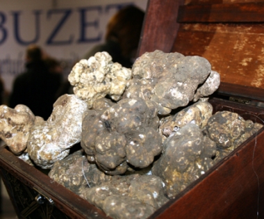 Grad Buzet - Ovoga vikenda Buzet u znaku tartufa