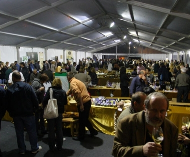 Grad Buzet - Gastro delicije na čelu s kraljem tartufom